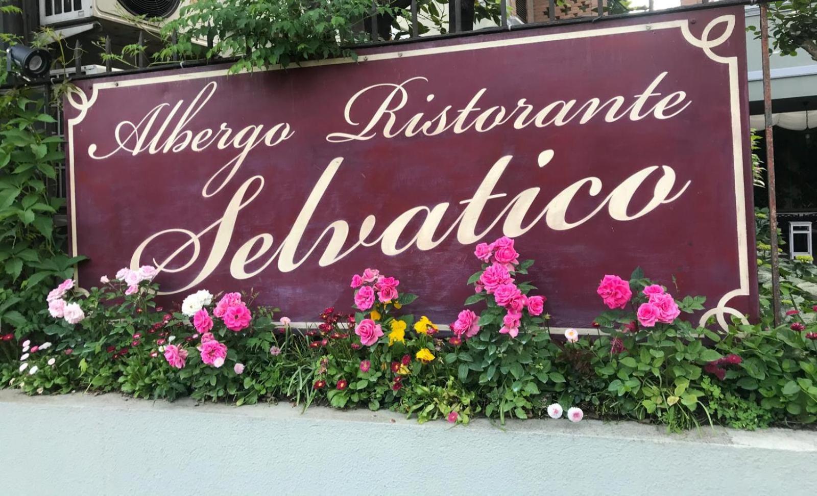 Albergo & Ristorante Selvatico Rivanazzano Terme Zewnętrze zdjęcie
